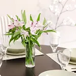 Sweet Old Town By Kramm Poznaň